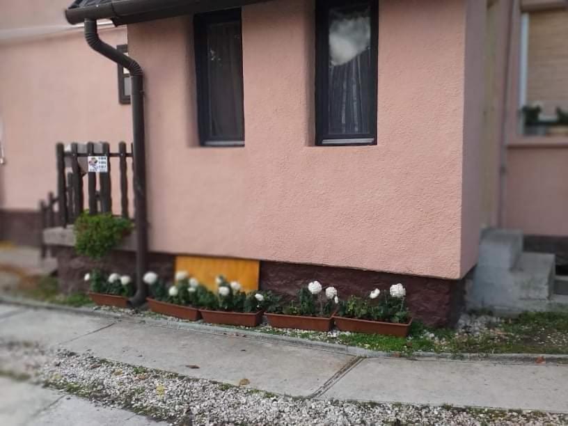 Gasthaus Pihenes A Malomtonal Privat Berlemeny Tapolca Exterior foto